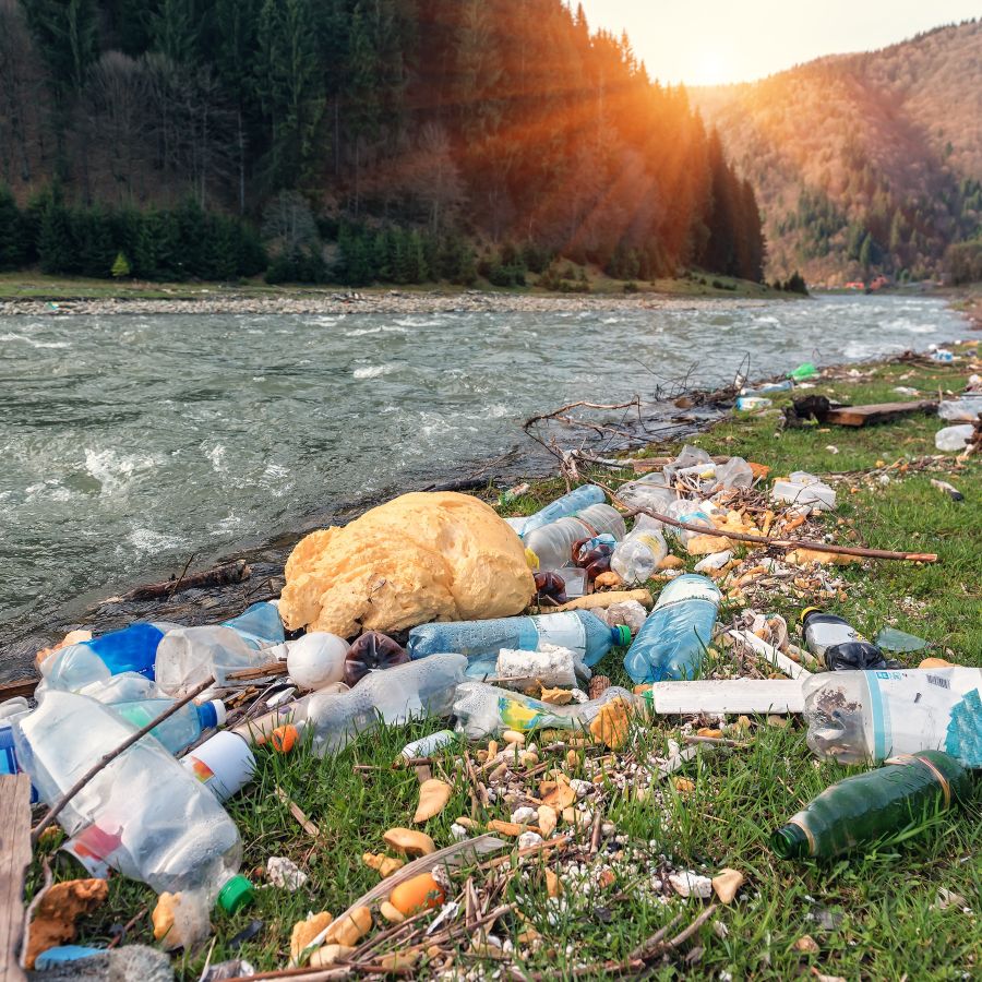 garbage along a river