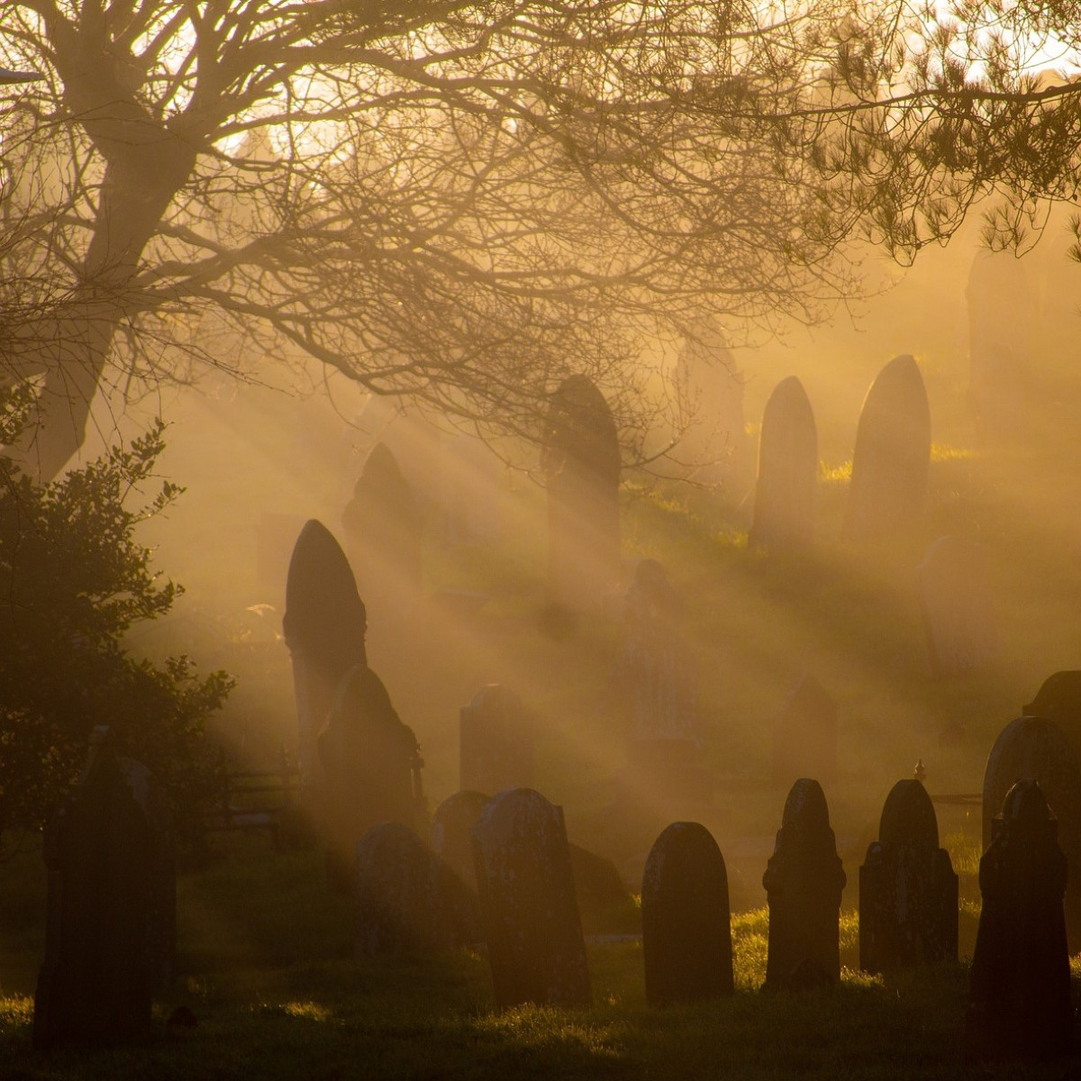 foggy cemetery