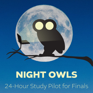 silhouette of an owl in front of a full moon